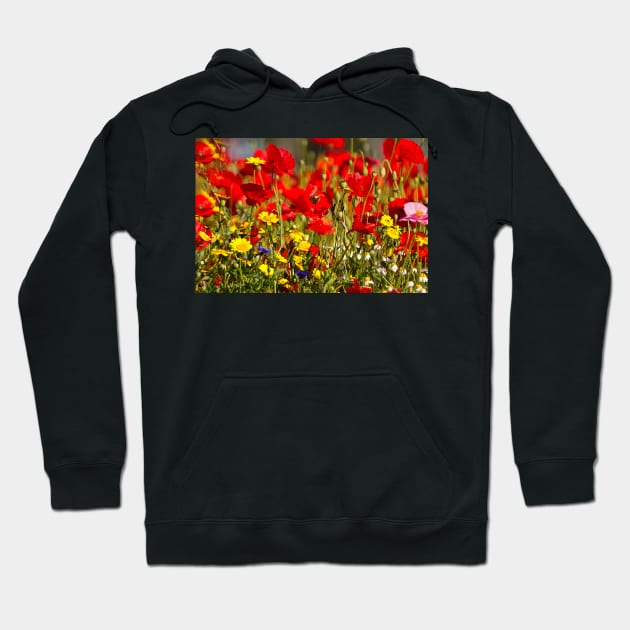 English Wild Flowers Hoodie by Violaman